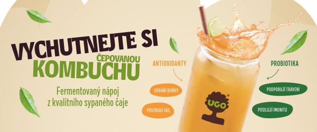 BLOG 1200x500px Cepovana Kombucha