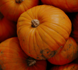 Podzimní UGO nabídka - superpotravina dýně