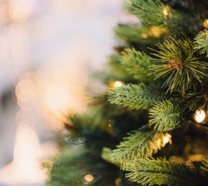 BLOG 269x240px Vánoce bez stresu