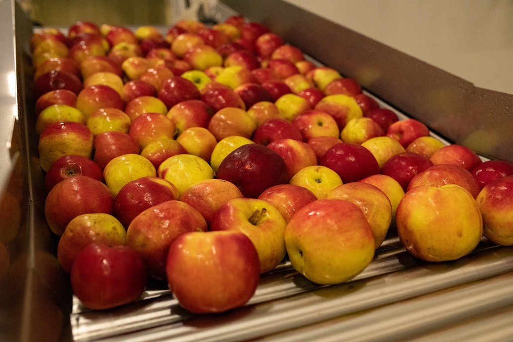 Dřeňovky řeka Zuz 11