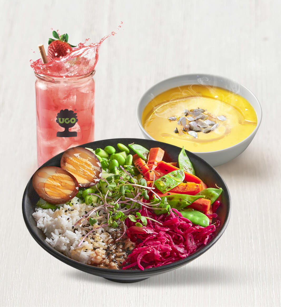 Naše produkty Nahled 256x280px MENU Teriyaki ZELENINA