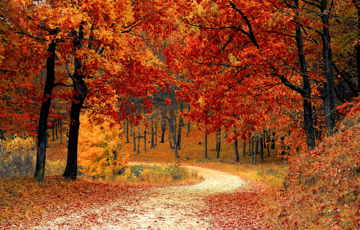 Podzimn&iacute; zpomalen&iacute; s UGO