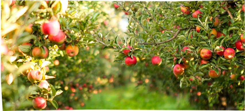 Nejlepší odpad je ten, který nevznikne