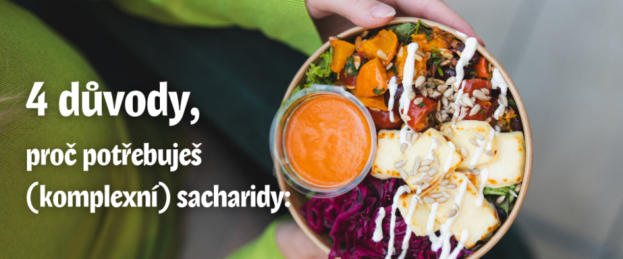 Čerstv&yacute; UGO sal&aacute;t se s&yacute;rem a z&aacute;livkou