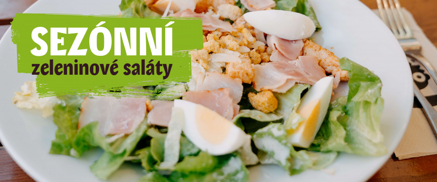 UGO sez&oacute;nn&iacute; zeleninov&eacute; sal&aacute;ty