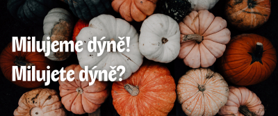 Podzimn&iacute; nab&iacute;dka UGO a superpotravina d&yacute;ně