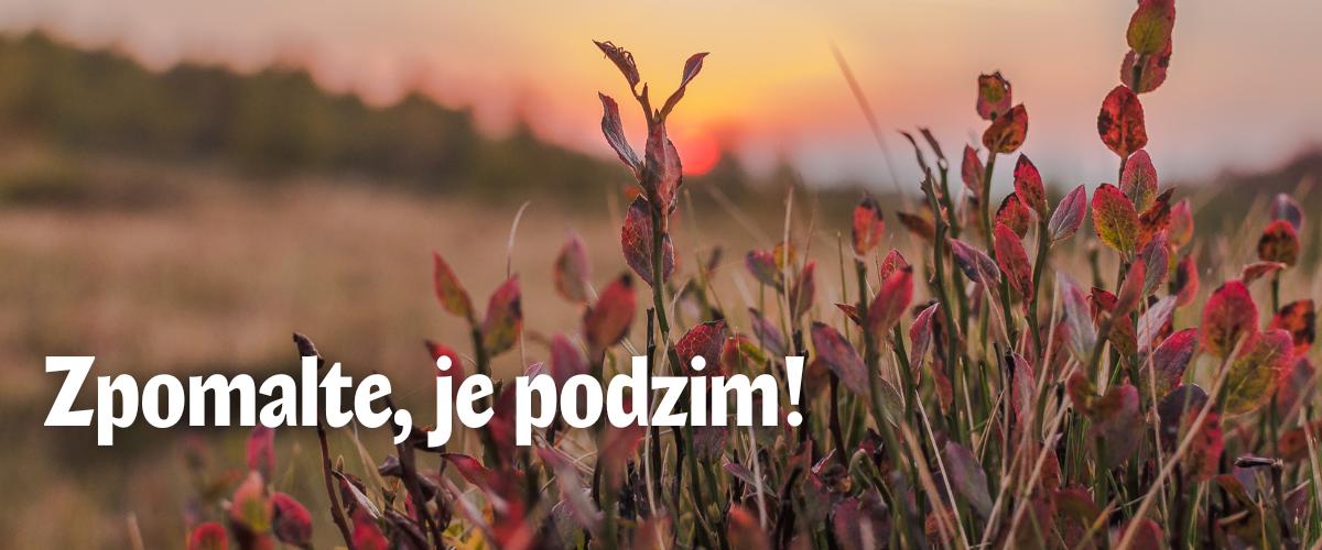 Podzimn&iacute; zpomalen&iacute; s UGO