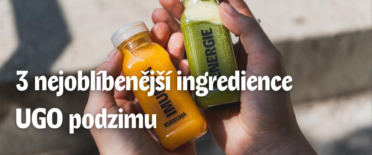 Čerstv&yacute; UGO sal&aacute;t se s&yacute;rem a z&aacute;livkou